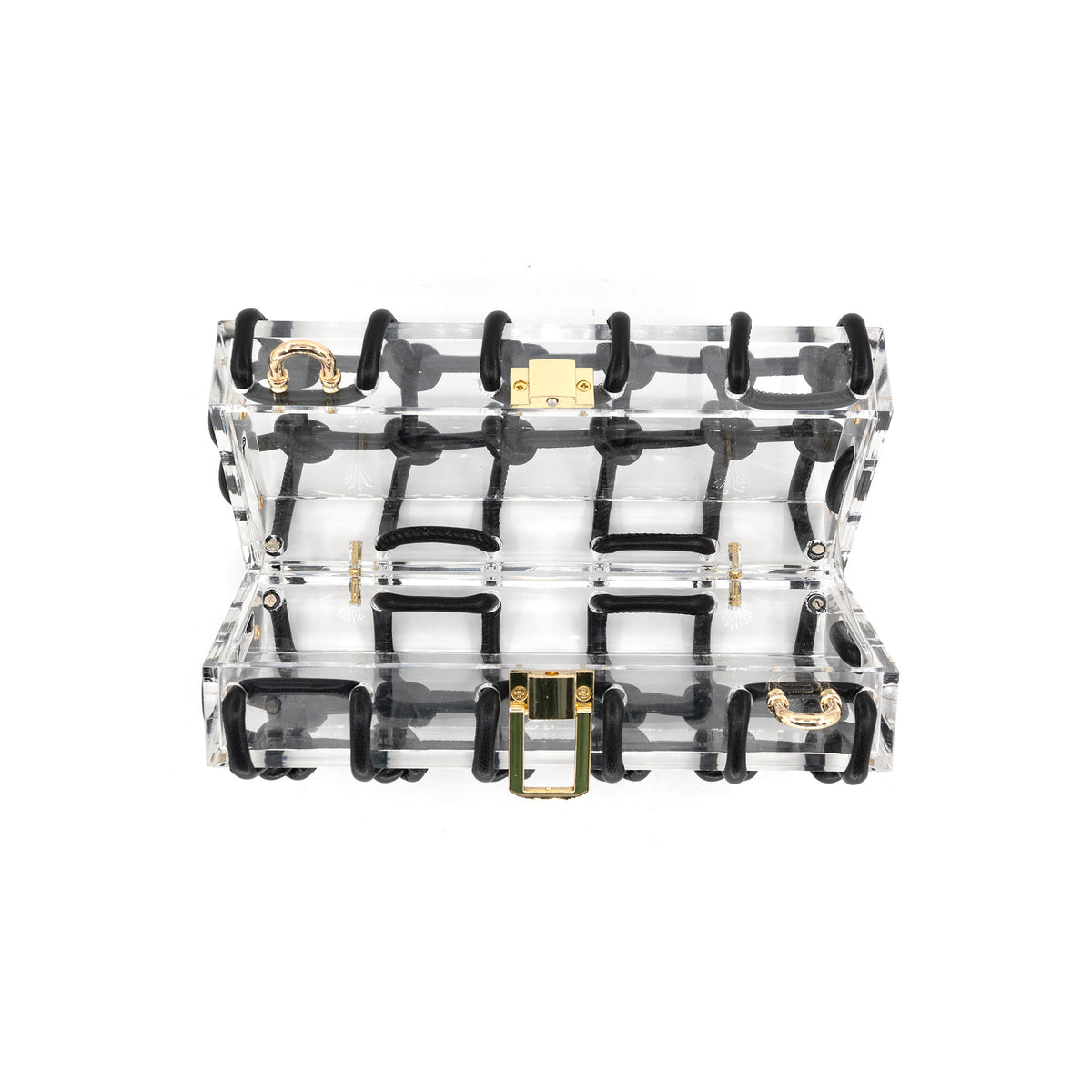 Zelina Acrylic Mini Bag